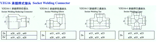 YZG16承插焊式管接头
